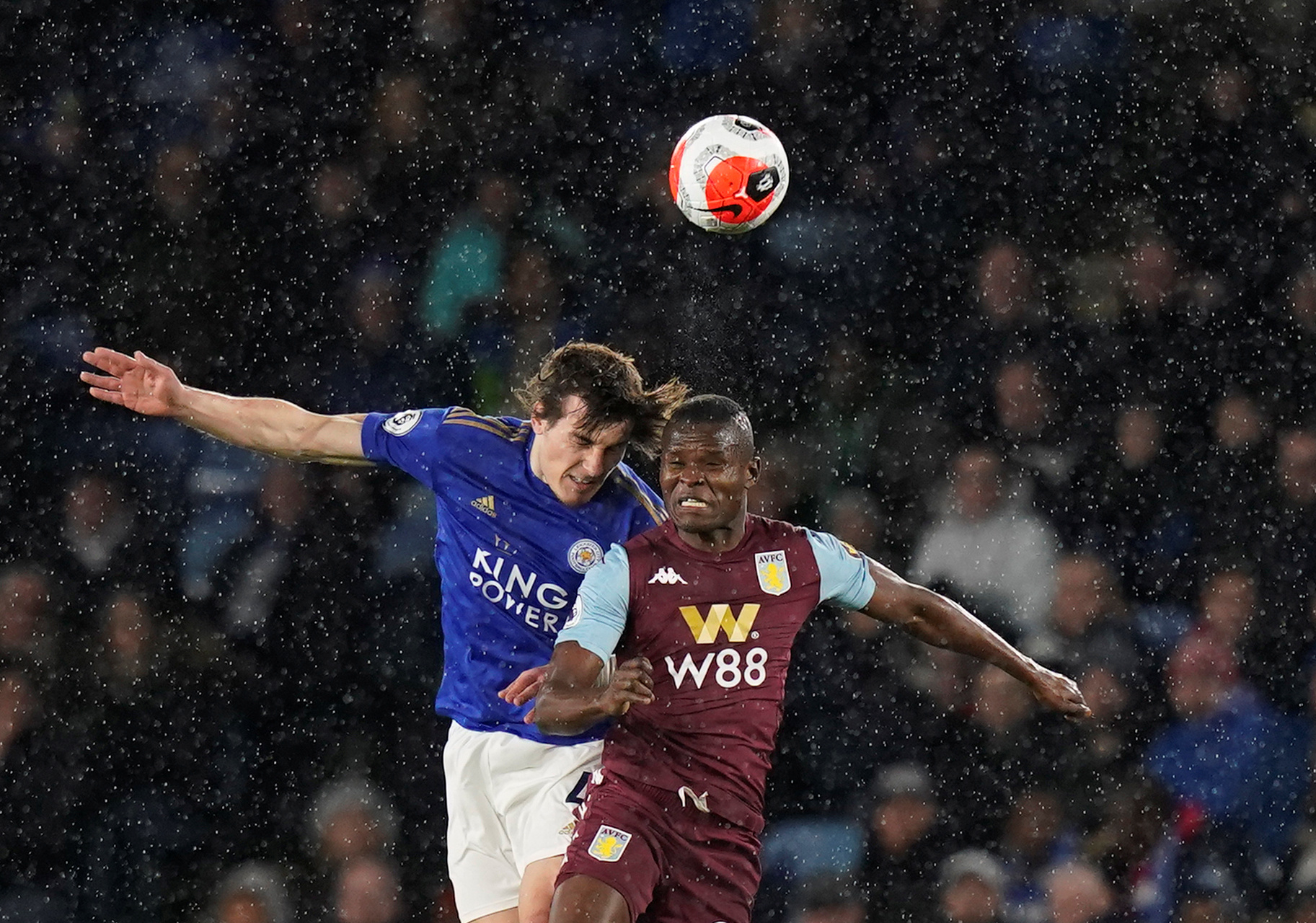 我们不仅要 我们不仅要